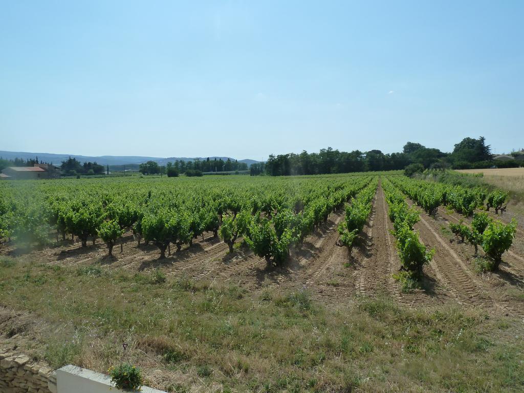 Вилла La Vigne Saint-Just  Номер фото